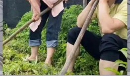 娱乐吃瓜粉丝探班,粉丝探班揭秘明星幕后生活