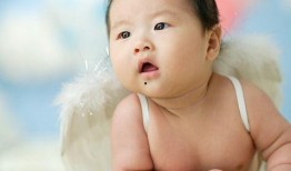 国产母子在线,打造亲子互动新平台，共筑温馨家庭时光